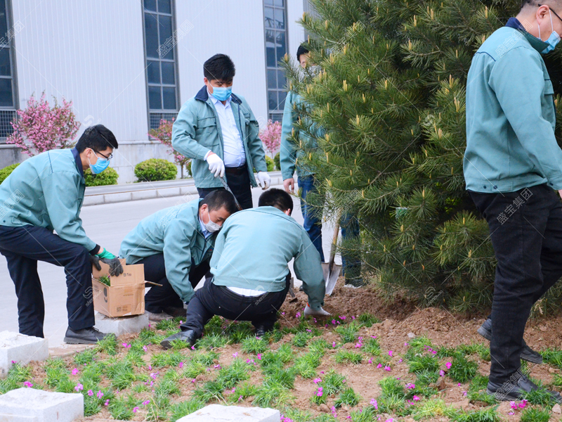 植树节活动